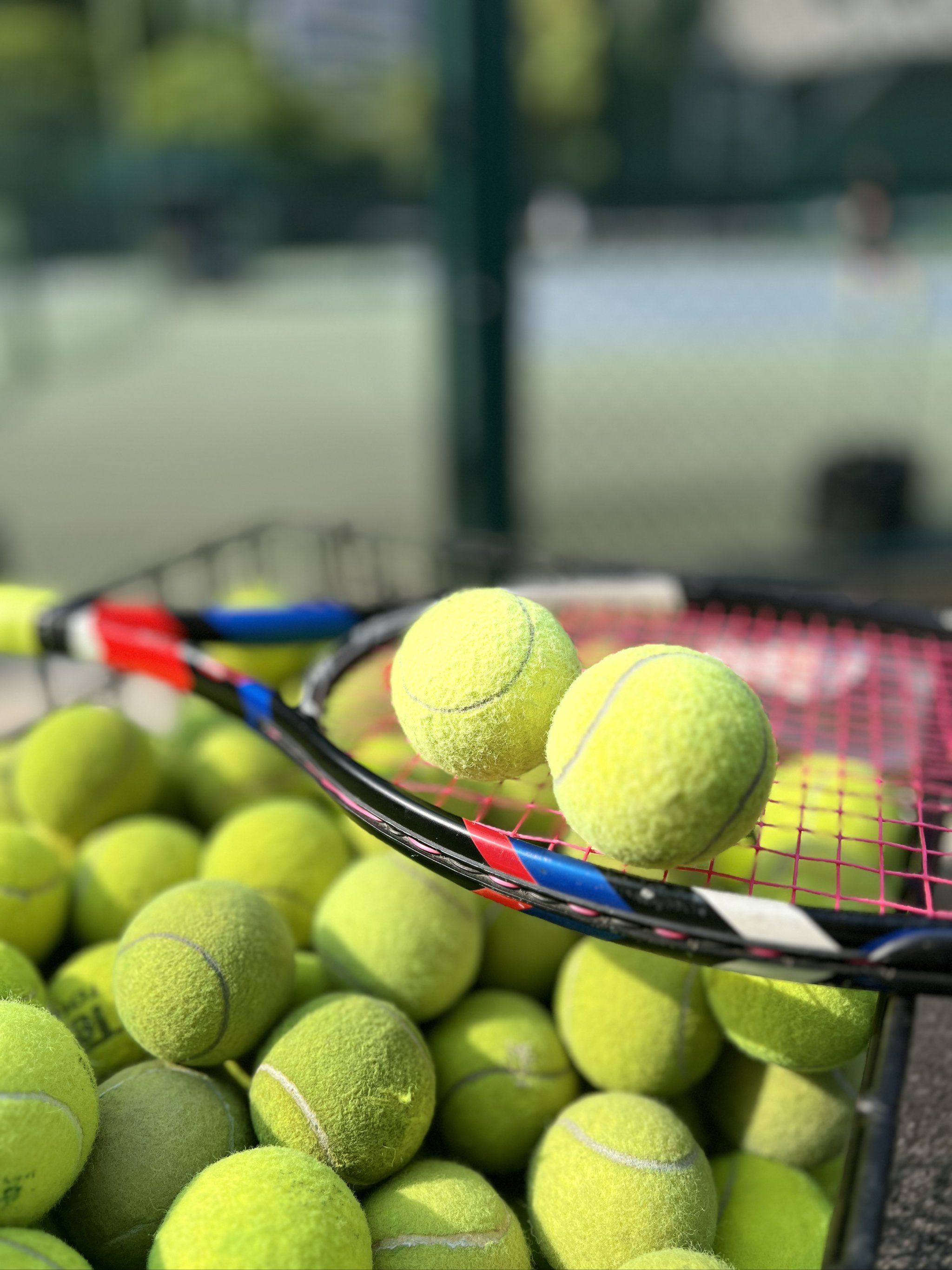 时差与草皮 时差与草皮